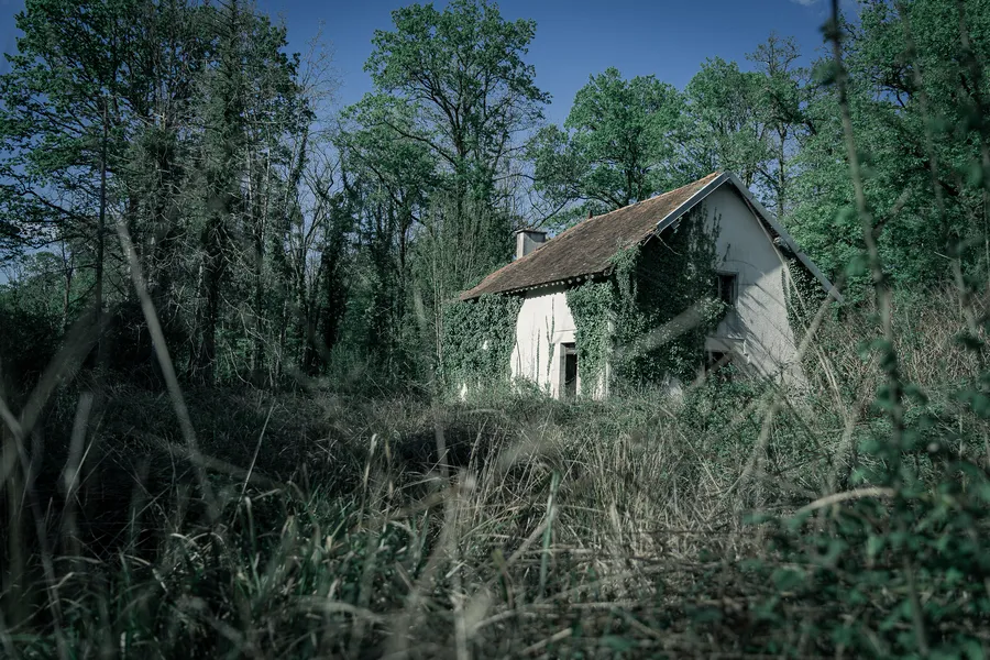 Petite maison isolée au milieu d’un sous-bois.