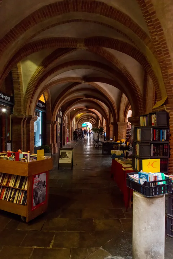 Long passage voûté bordé de livres et d’étagères.